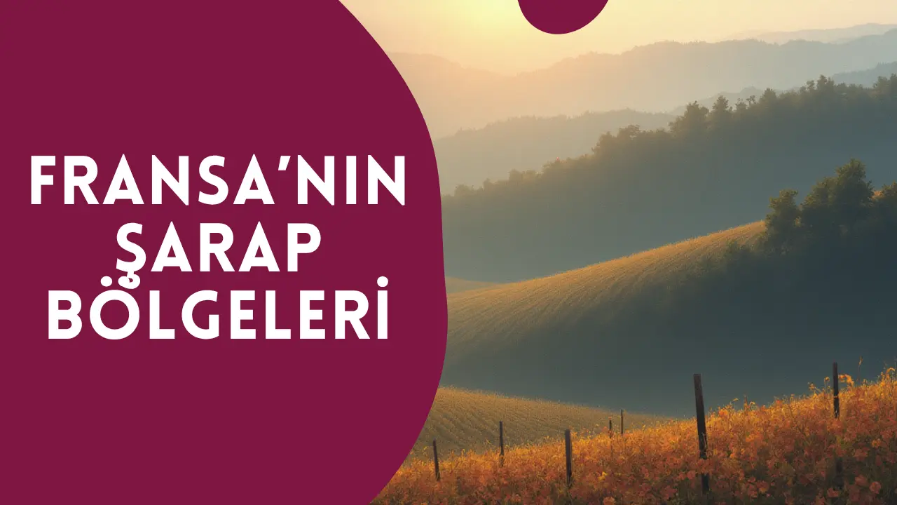 Fransa’nın Şarap Bölgeleri