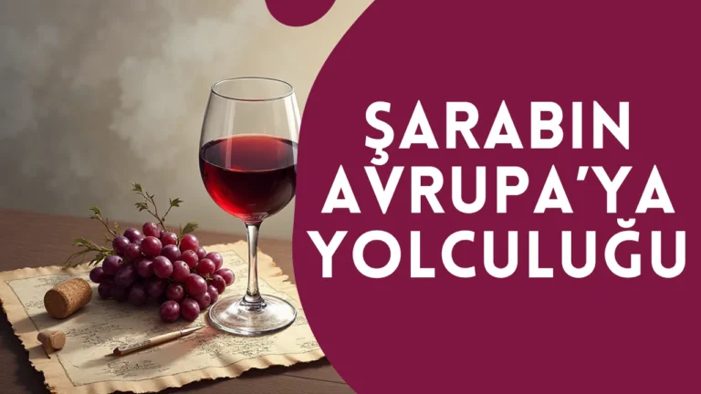 Şarabın Avrupa’ya Yolculuğu