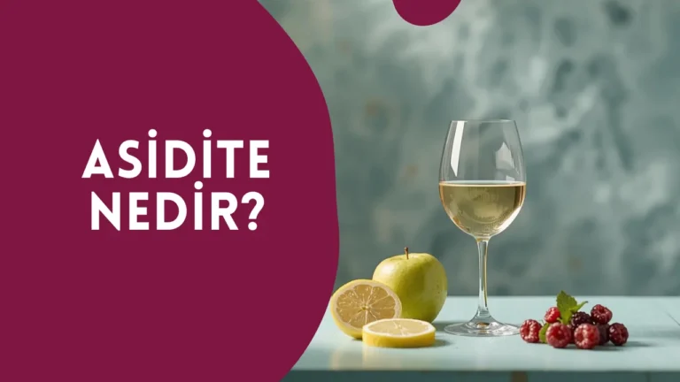 Asidite Nedir