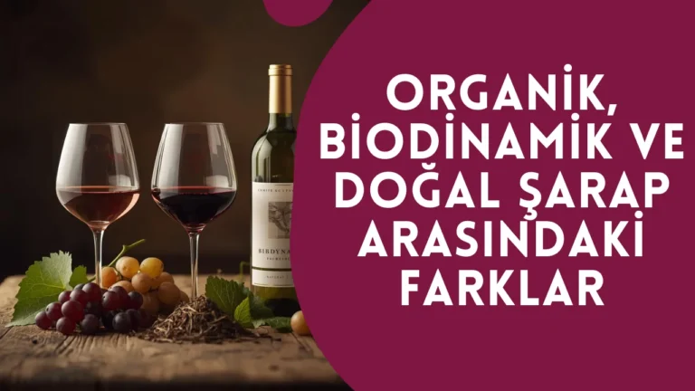 Organik, Biodinamik ve Doğal Şarap Arasındaki Farklar