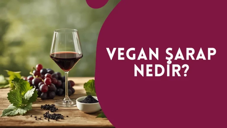 Vegan Şarap Nedir